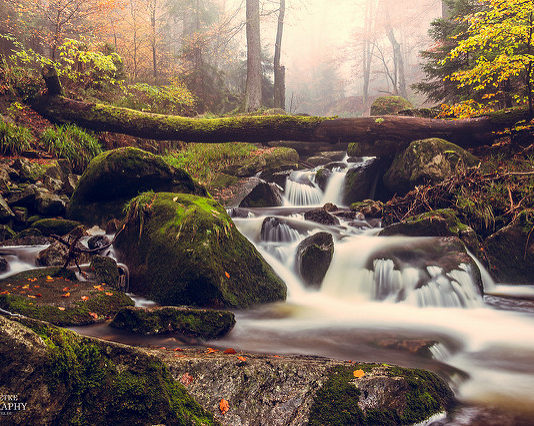 Meine zwei Tage im Ilsetal – Harz Ilsetal