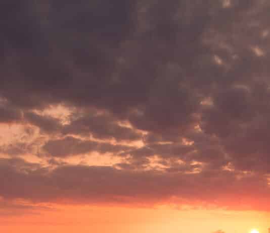 Foto des Monats April 2021 Foto des Monats April 2021