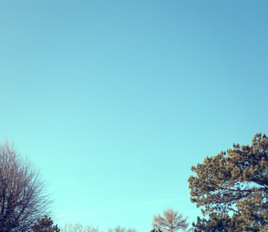 Foto des Monats Januar 2021 Foto des Monats Januar 2021