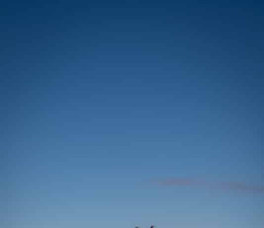 Foto des Monats Juli 2021 Foto des Monats Juli 2021