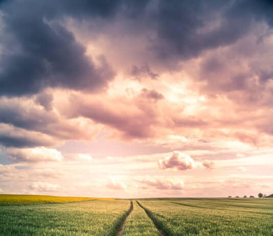 Foto des Monats Juni 2021 Foto des Monats Juni 2021