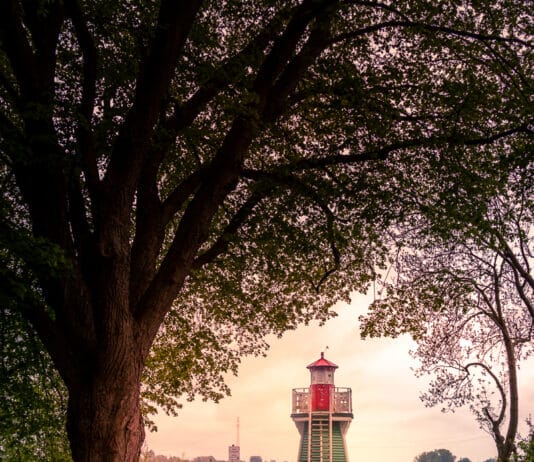 Foto des Monats Mai 2021 Foto des Monats Mai 2021