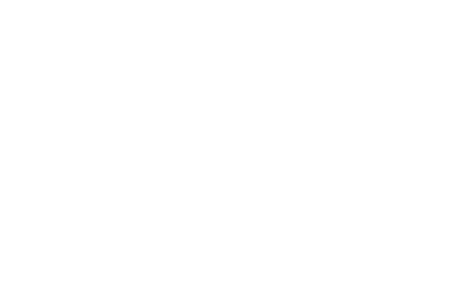 weiß_transparent_ohne_linien